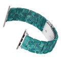 Piękna Bransoleta Żywica Stal Nierdzewna do Apple Watch 38mm/40mm zielona