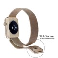 Bransoleta-Milanese-Loop-Apple-Watch-42mm
