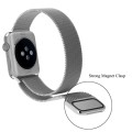 Bransoleta-Milonese-loop-Apple-Watch