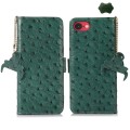 Skórzane Etui Pokrowiec z RFID do iPhone 16e zielony